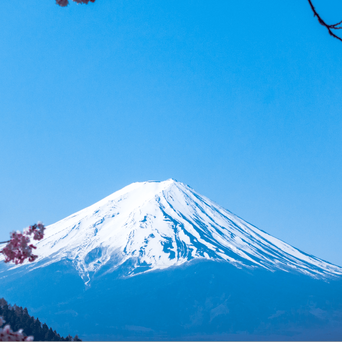 富士山